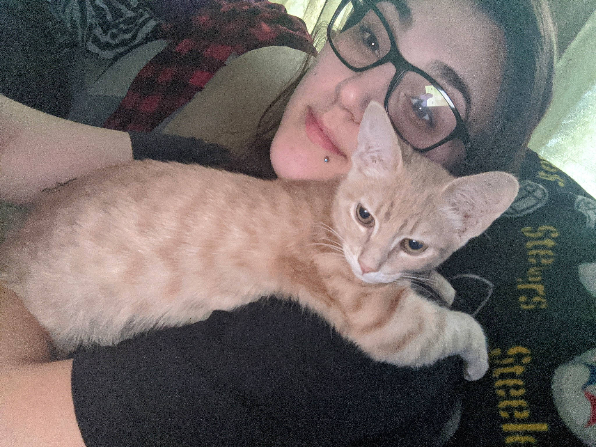 Oliver joined the competition — help win amazing prizes! asian, australian_mist, burmilla, carnivore, cat, cornish_rex, devon_rex, domestic_short_haired_cat, ear, european_shorthair, fawn, felidae, german_rex, javanese, mammal, ojos_azules, oriental_longhair, small_to_medium_sized_cats, vertebrate, whiskers