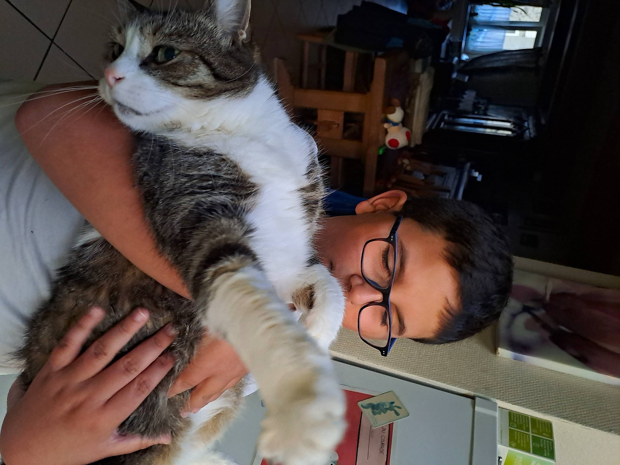 Boulon participe au concours pour gagner de l'argent avec cette photo : carnivore, cat, comfort, domestic_short_haired_cat, eyewear, felidae, finger, fur, gesture, lap, nail, paw, small_to_medium_sized_cats, whiskers