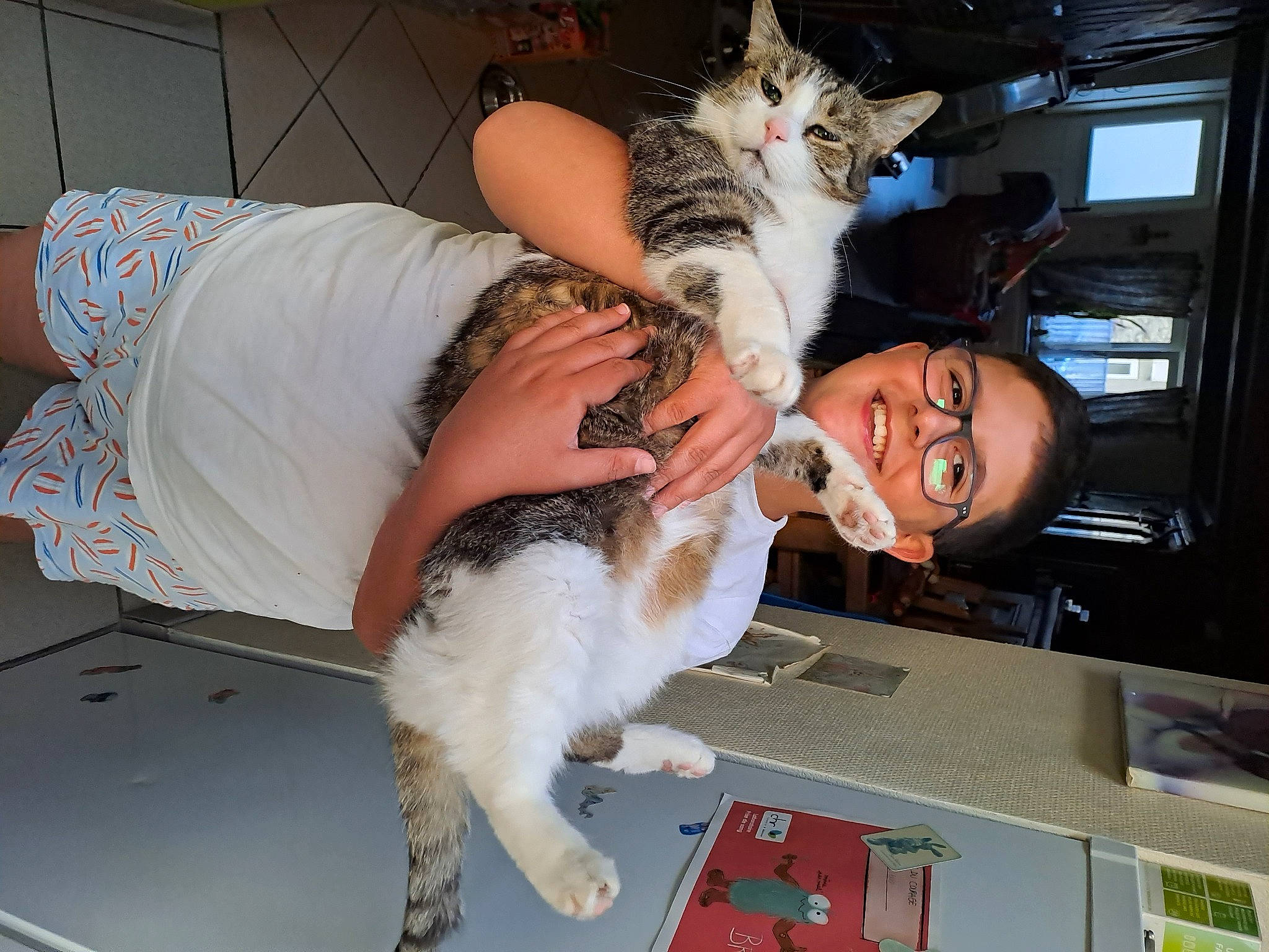 Boulon a rejoint le concours — aidez-le/la à gagner de superbes lots ! carnivore, cat, companion_dog, computer_keyboard, event, eyewear, fashion_design, fawn, felidae, flash_photography, fur, human_leg, knee, lap, sitting, small_to_medium_sized_cats, tail, thigh, tree, whiskers