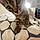 Tigris