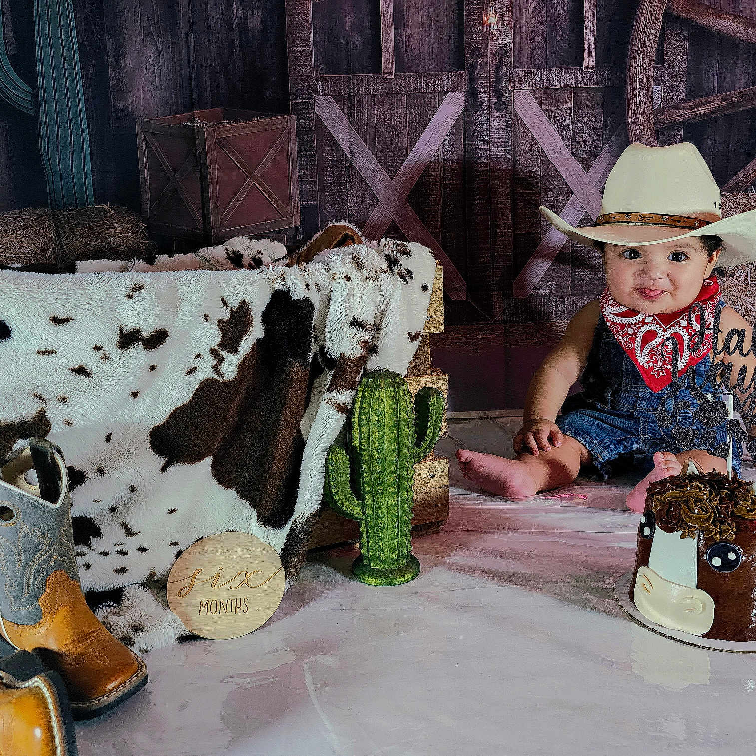 Lisandro is registered to the contest to win money with this photo: animal, baby, birthdaycake, boot, cake, canine, cattle, clothing, cowboyhat, cream, dessert, dog, food, footwear, hat, livestock, person, pet, shoe, sunhat