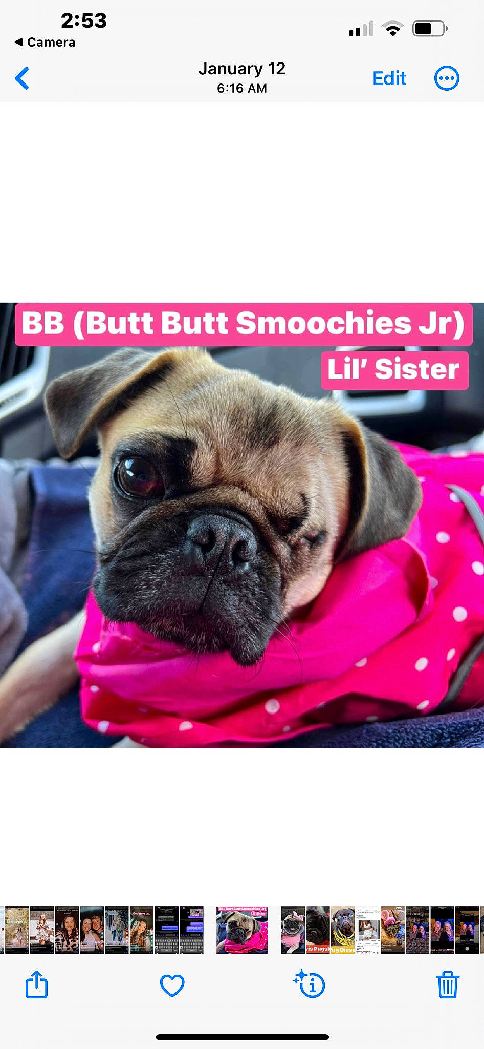 Butt Butt Smoochies Jr