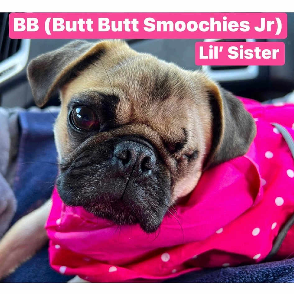 Butt Butt Smoochies Jr