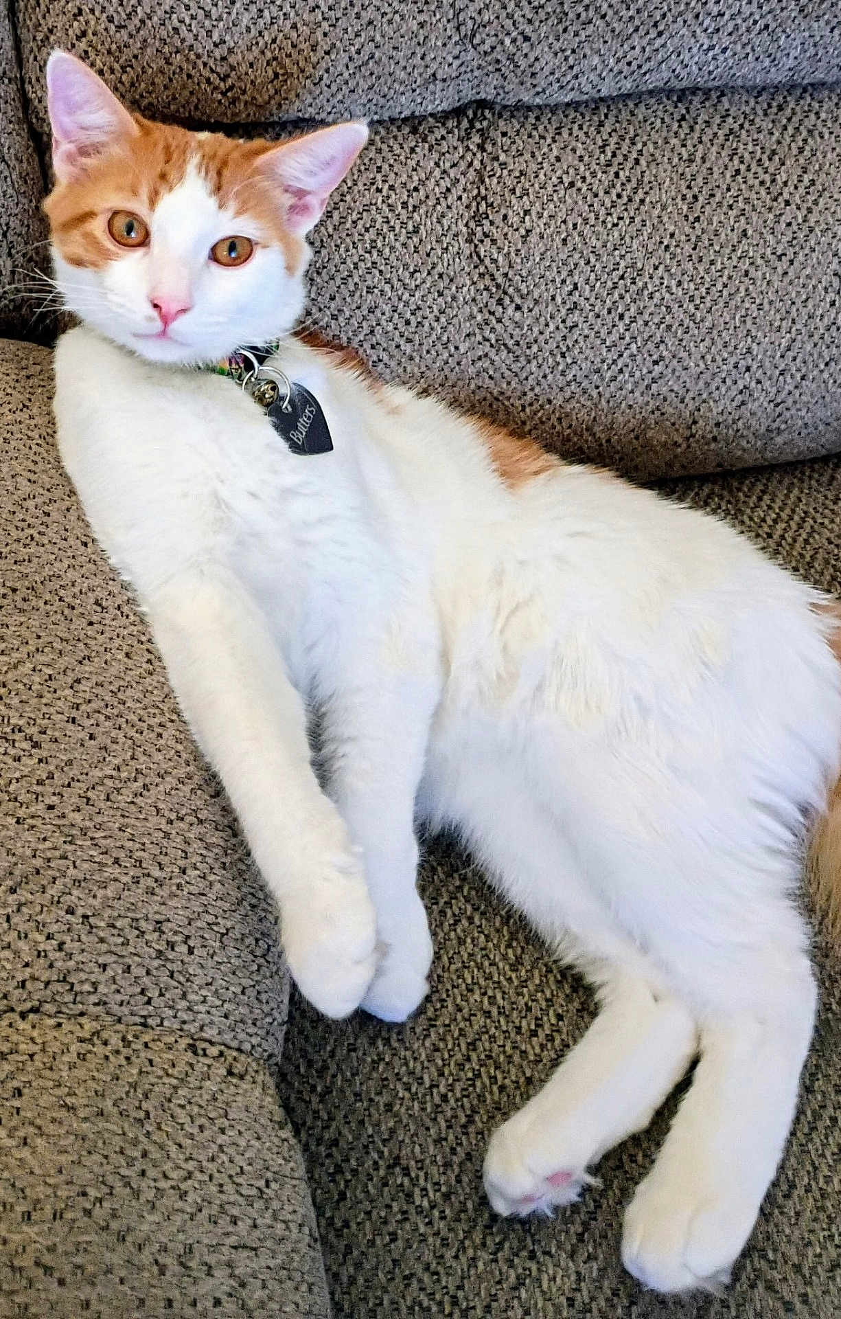 Butters