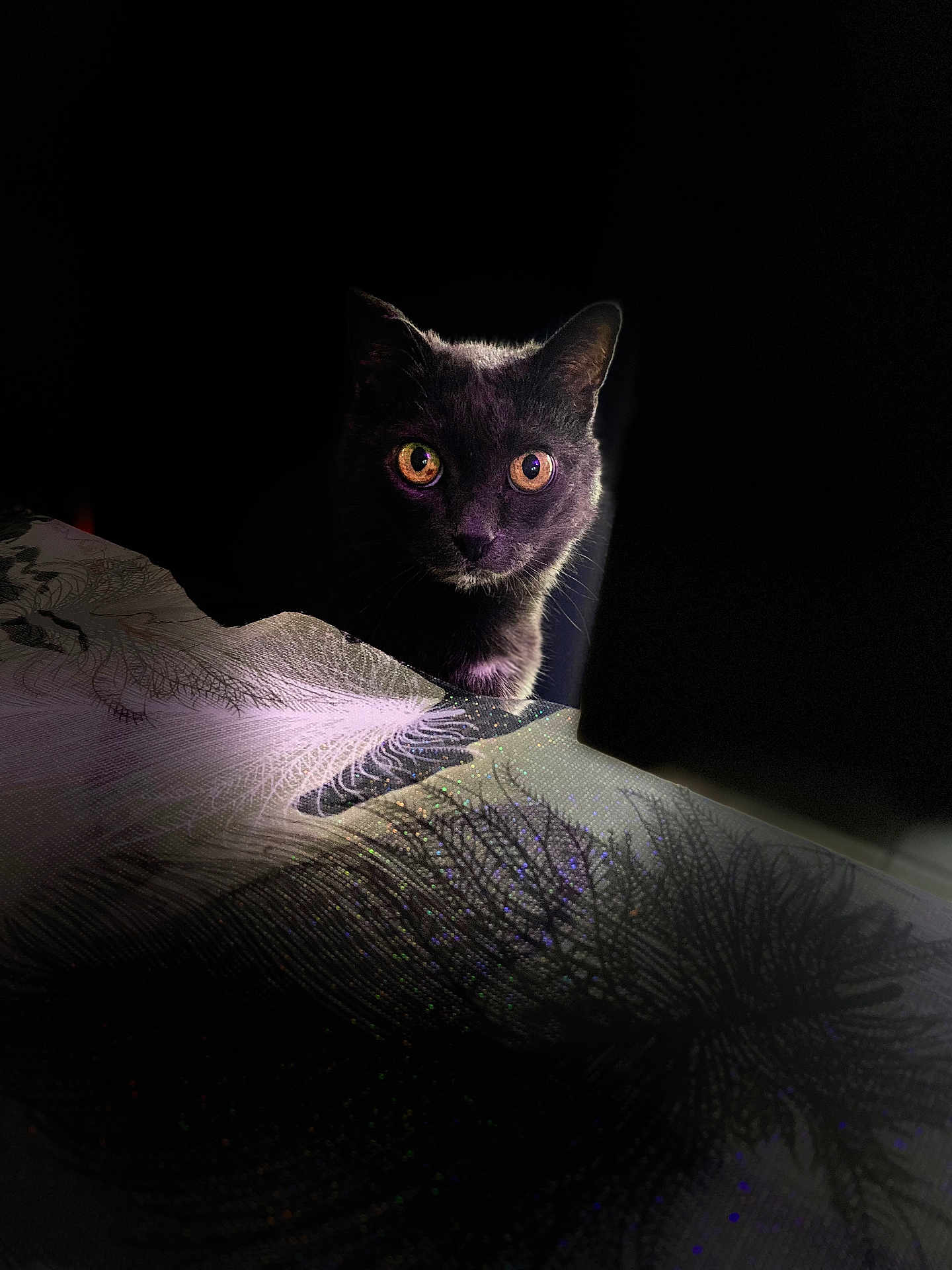 Minette