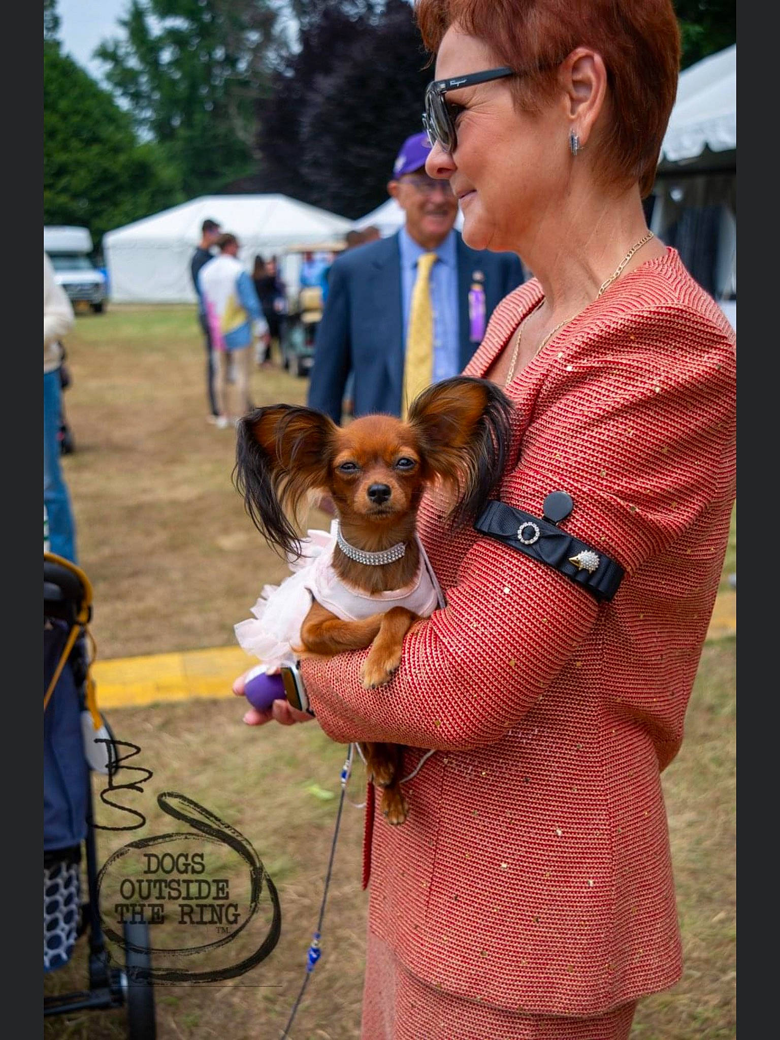 Porsche joined the competition — help win amazing prizes! canidae, carnivore, companion_dog, dog, dog_breed, event, eyewear, fashion_accessory, fawn, fun, fur, glasses, goggles, leash, leisure, recreation, sporting_group, sunglasses, tire, vision_care