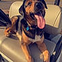dog, tongue_out, golf_cart, outdoor, park, autumn, tree, grass, seat, collar, tag, sunlight, happy, pet, animal, canine, paw, nature, daytime, smiling