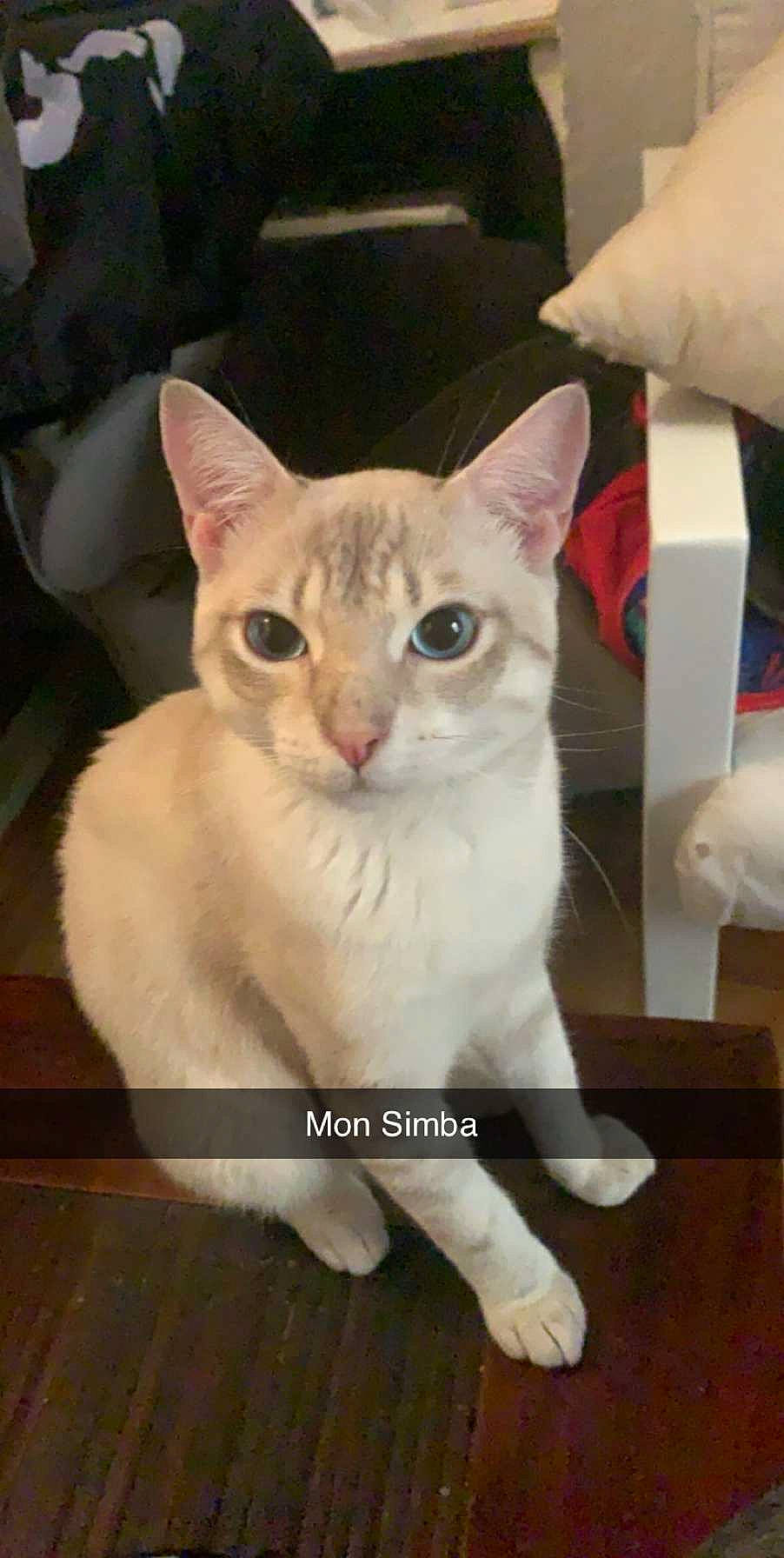 Simba