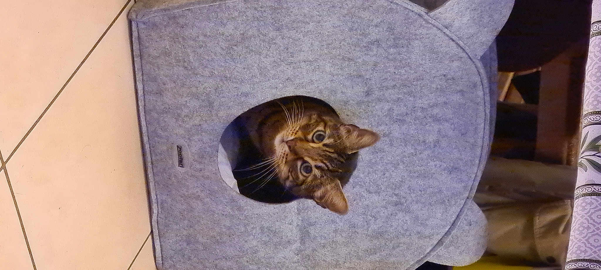 Figaro