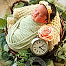 Kaela Sabine is registered to the contest to win money with this photo: baby, basket, blanket, clock, cozy, flower, headband, knit, leafy_greens, newborn, peaceful, pocket_watch, portrait, props, rose, sleeping, soft_lighting, studio_photography, swaddle, wood_background