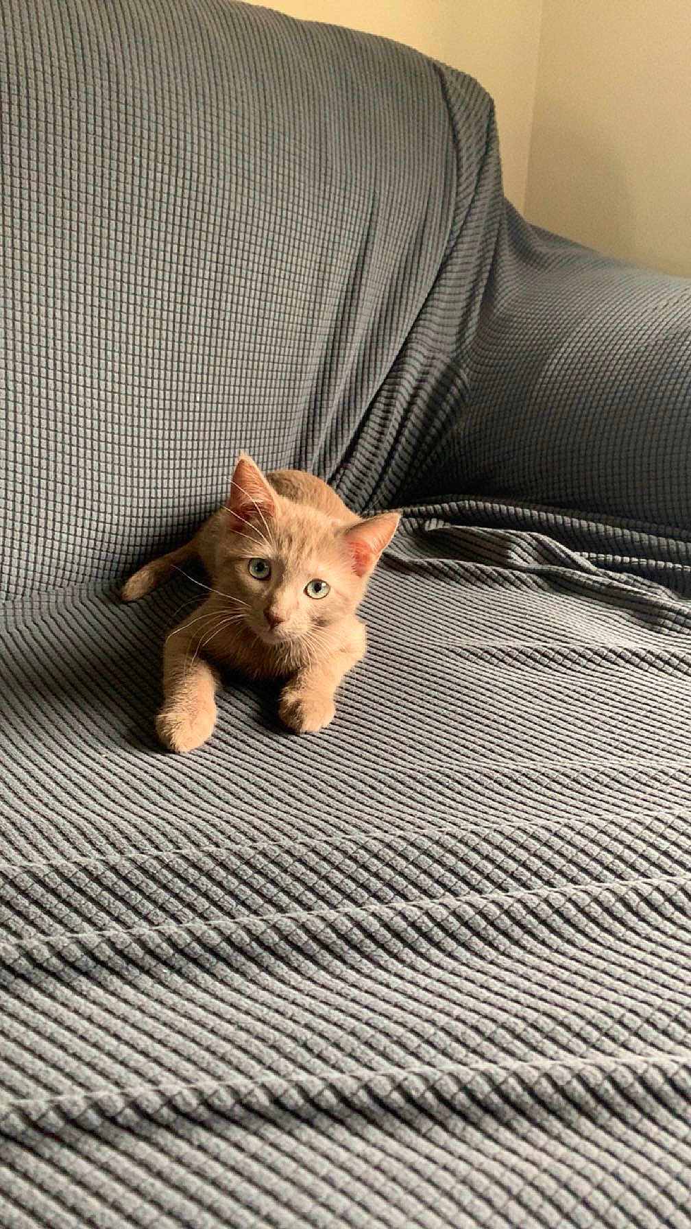 Churro