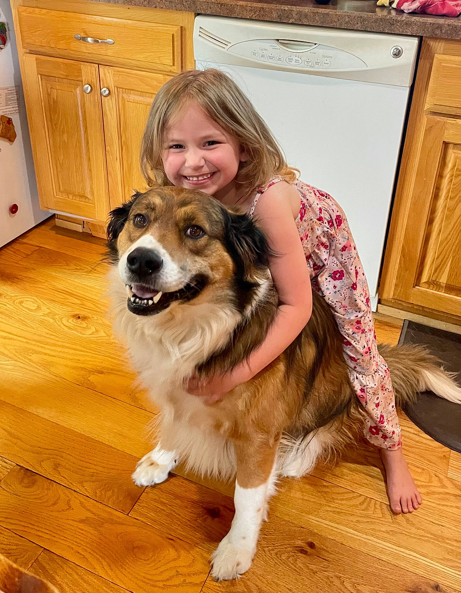 Ember joined the competition — help win amazing prizes! blond, cabinetry, carnivore, companion_dog, dog, dog_breed, face, fawn, floor, flooring, fur, hair, happy, hardwood, head, joy, person, refrigerator, smile, wood
