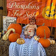 Ryleigh is registered to the contest to win money with this photo: baby, child, pumpkin, pumpkin_patch, gourd, hay, autumn, fall, farm, farmstand, outdoor, portrait, sitting, smiling, bow, baby_clothing, blanket, orange, seasonal_decor, rustic