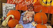 Ryleigh joined the competition — help win amazing prizes! baby, child, pumpkin, pumpkin_patch, harvest, autumn, fall, farm, outdoor, hay, blanket, sitting, smiling, bow, portrait, orange, gourd, jack_o_lantern, wooden_structure, sign