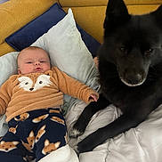Tya participe au concours pour gagner de l'argent avec cette photo : animal, baby, black_dog, blanket, child, companion, couch, cozy, cute, dog, fox_pattern, furniture, home, indoor, pajamas, pet, pillow, resting, soft_toys, warm_clothing