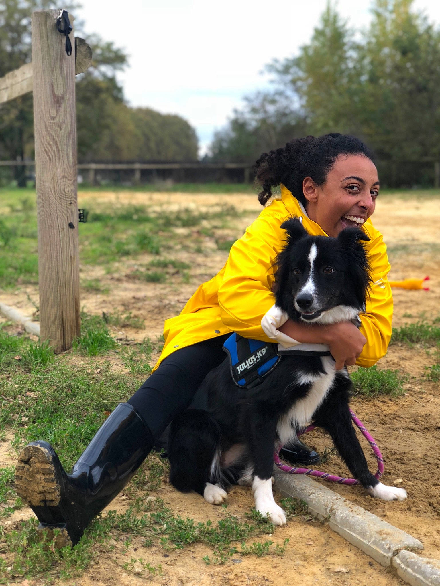 Fidjie participe au concours pour gagner de l'argent avec cette photo : border_collie, companion_dog, dog, dog_breed, dog_breed_group, dog_like_mammal, fun, joy, obedience_trial, person, vertebrate