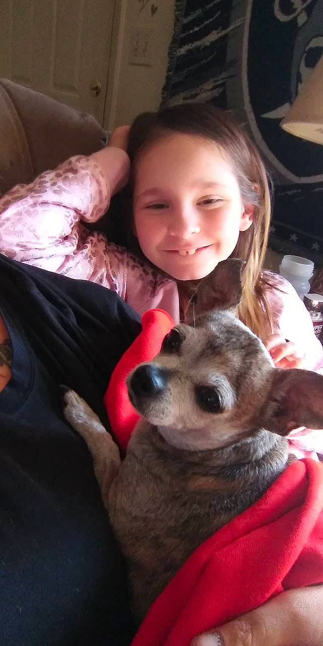 Katelyn is registered to the contest to win money with this photo: canidae, carnivore, child, companion_dog, dog, dog_breed, ear, fawn, joy, mammal, nose, person, puppy, puppy_love, snout