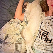 Juno joined the competition — help win amazing prizes! person, cat, blanket, bed, sleeping, relaxing, indoor, comfort, long_hair, striped_shirt, plaid_blanket, resting, feline, casual_clothing, pale_skin, light_colored_cat, cozy, arm, closeup, laying_down