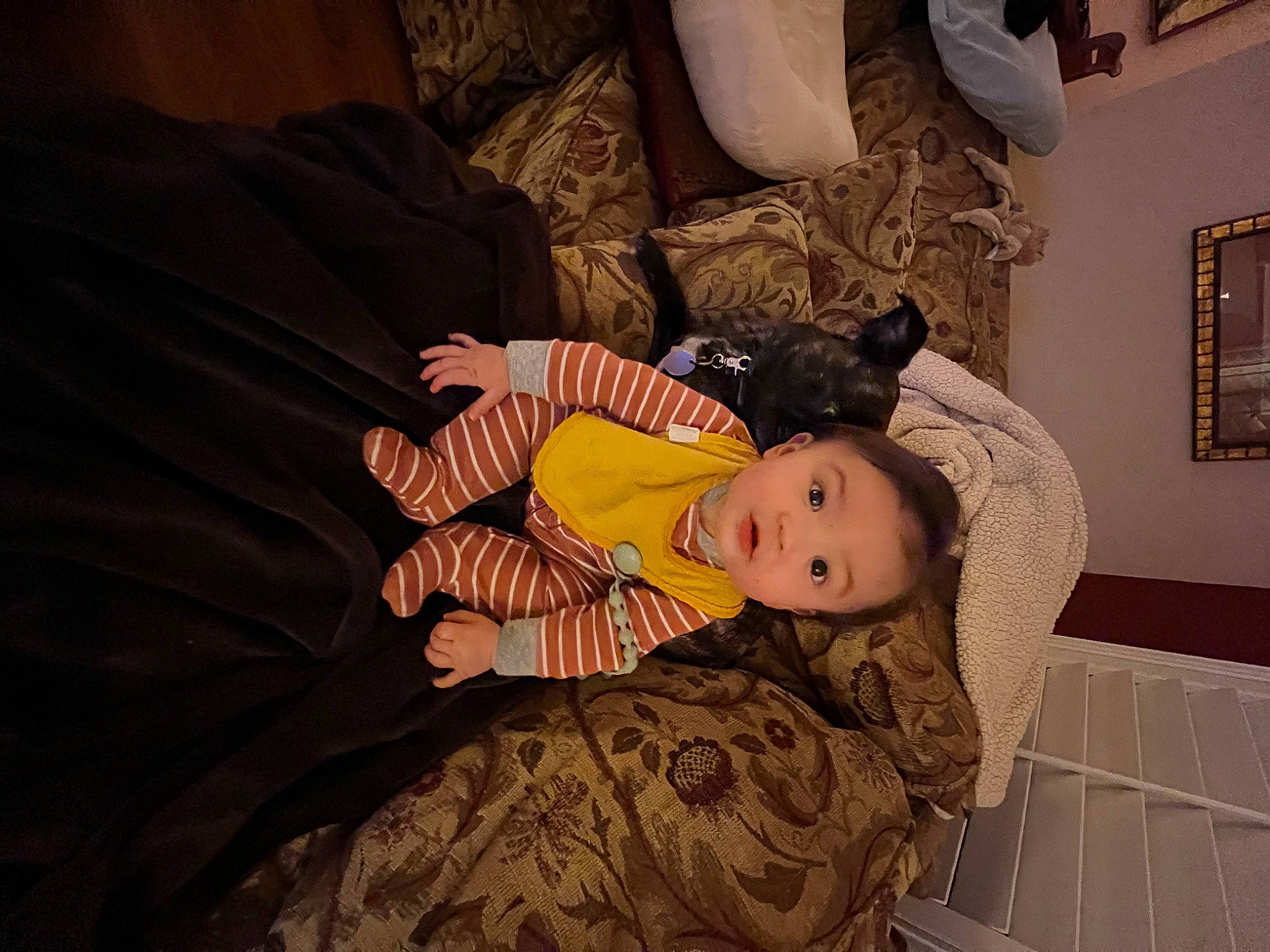 Maximus Sean is registered to the contest to win money with this photo: baby, baby_products, baby_toddler_clothing, cheek, child, comfort, flooring, fun, lap, person, picture_frame, room, sitting, toddler, tree, wood