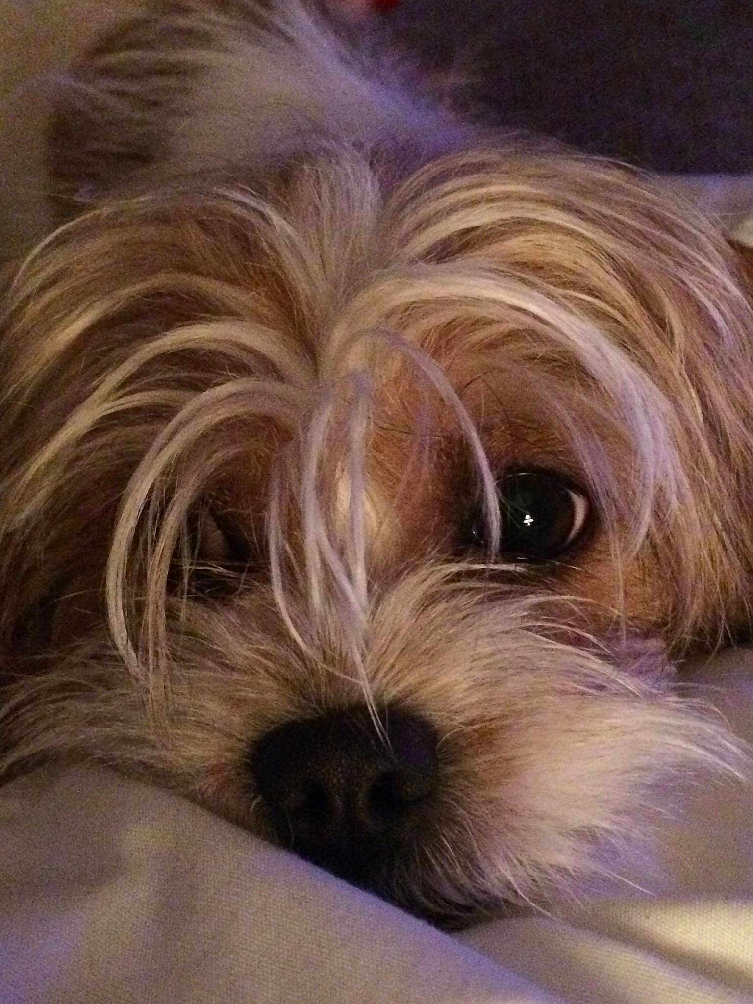 Tucker