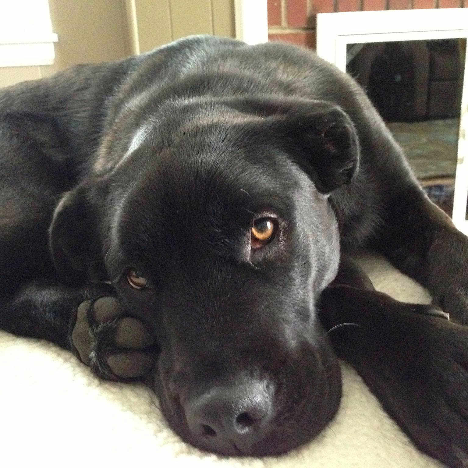 Buford joined the competition — help win amazing prizes!