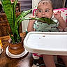 baby, child, high_chair, plant, leaf, potted_plant, table, indoor, curious, green, furniture, wooden_table, clothing, person, face, hand, expression, smiling, seat, home