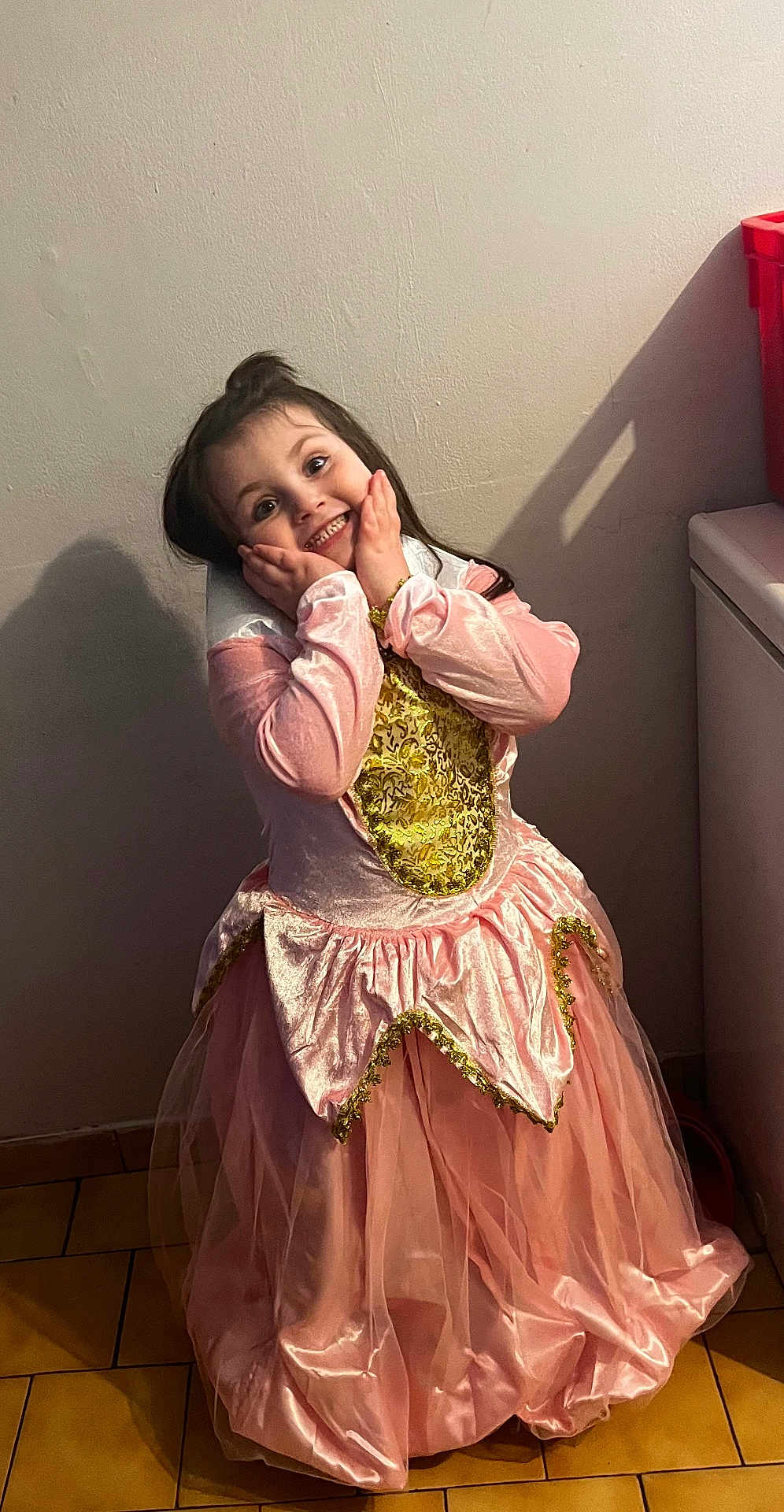 Amaraa a rejoint le concours — aidez-le/la à gagner de superbes lots ! child, girl, smile, princess_dress, pink_dress, costume, hands_on_cheeks, long_hair, indoor, wall, shadow, red_bin, tile_floor, posing, happy, gold_trim, ruffled_skirt, portrait, playtime, cute