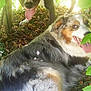 Django participe au concours pour gagner de l'argent avec cette photo :