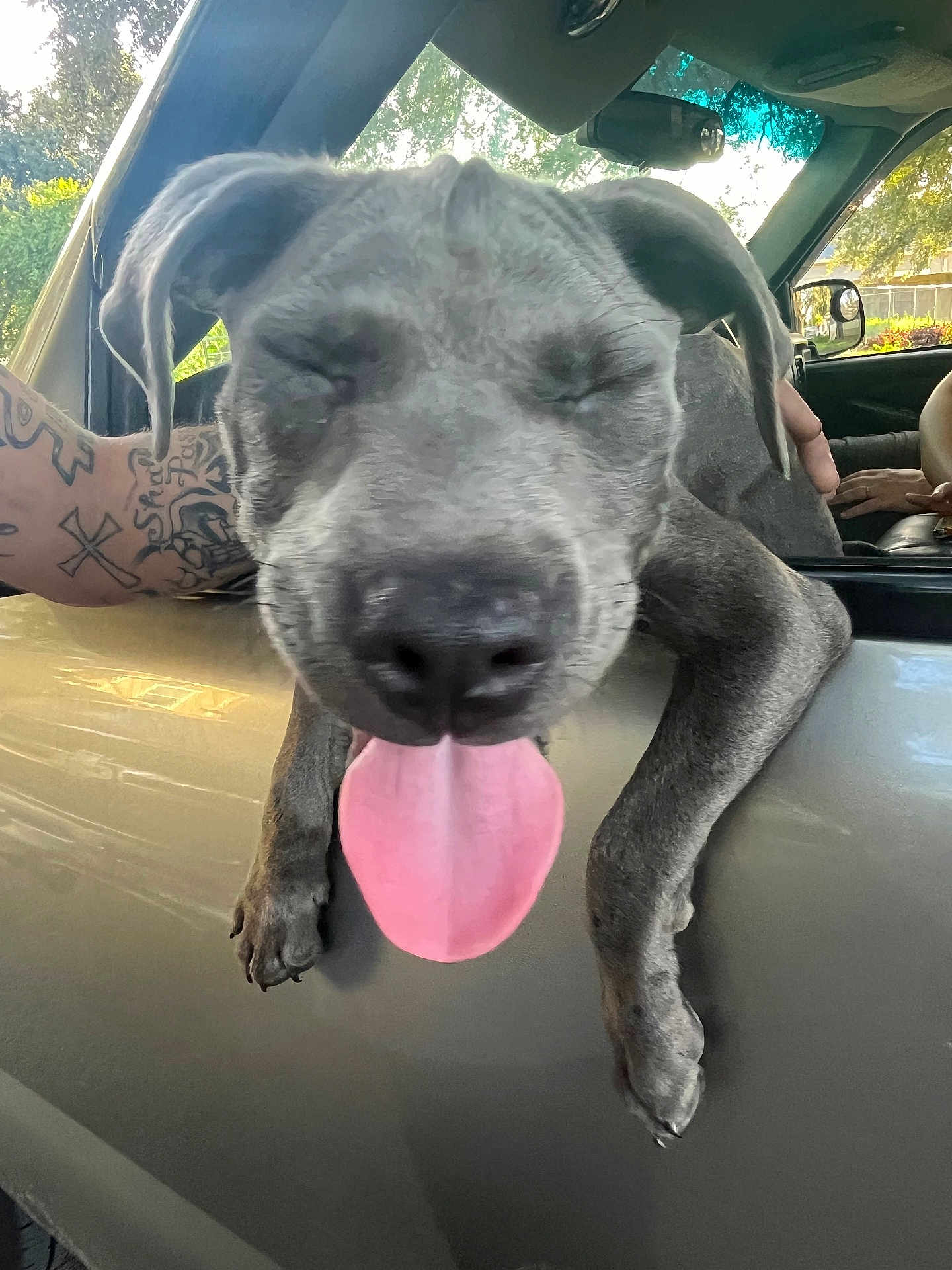 Blu