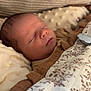 newborn, baby, sleeping, blanket, cozy, soft, face, infant, peaceful, rest, wrapped, comfort, indoors, closeup, portrait, child, cute, warm, texture, calm