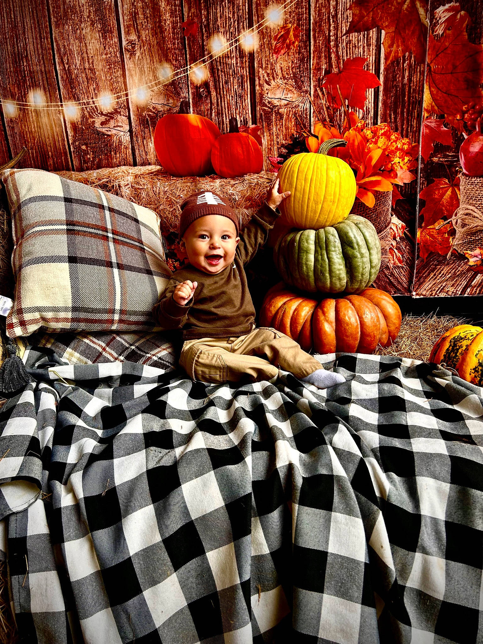 Asher is registered to the contest to win money with this photo: calabaza, comfort, cucurbita, fruit, gourd, happy, headwear, lighting, linens, natural_foods, orange, pattern, person, plaid, plant, pumpkin, smile, tartan, textile, vegetable