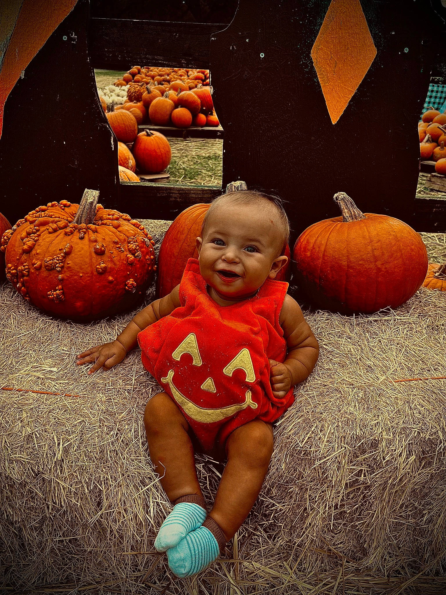 Asher joined the competition — help win amazing prizes! baby, baby_toddler_clothing, calabaza, child, cucurbita, flooring, gourd, grass, happy, human_body, natural_foods, orange, people_in_nature, person, plant, pumpkin, smile, squash, toddler, vegetable