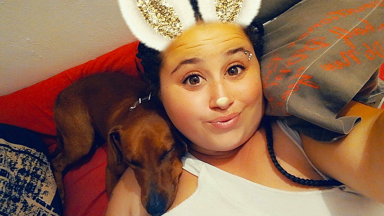 Malko participe au concours pour gagner de l'argent avec cette photo : canidae, dog_breed, ear, eyebrow, fawn, forehead, head, headpiece, headwear, nose, person, selfie