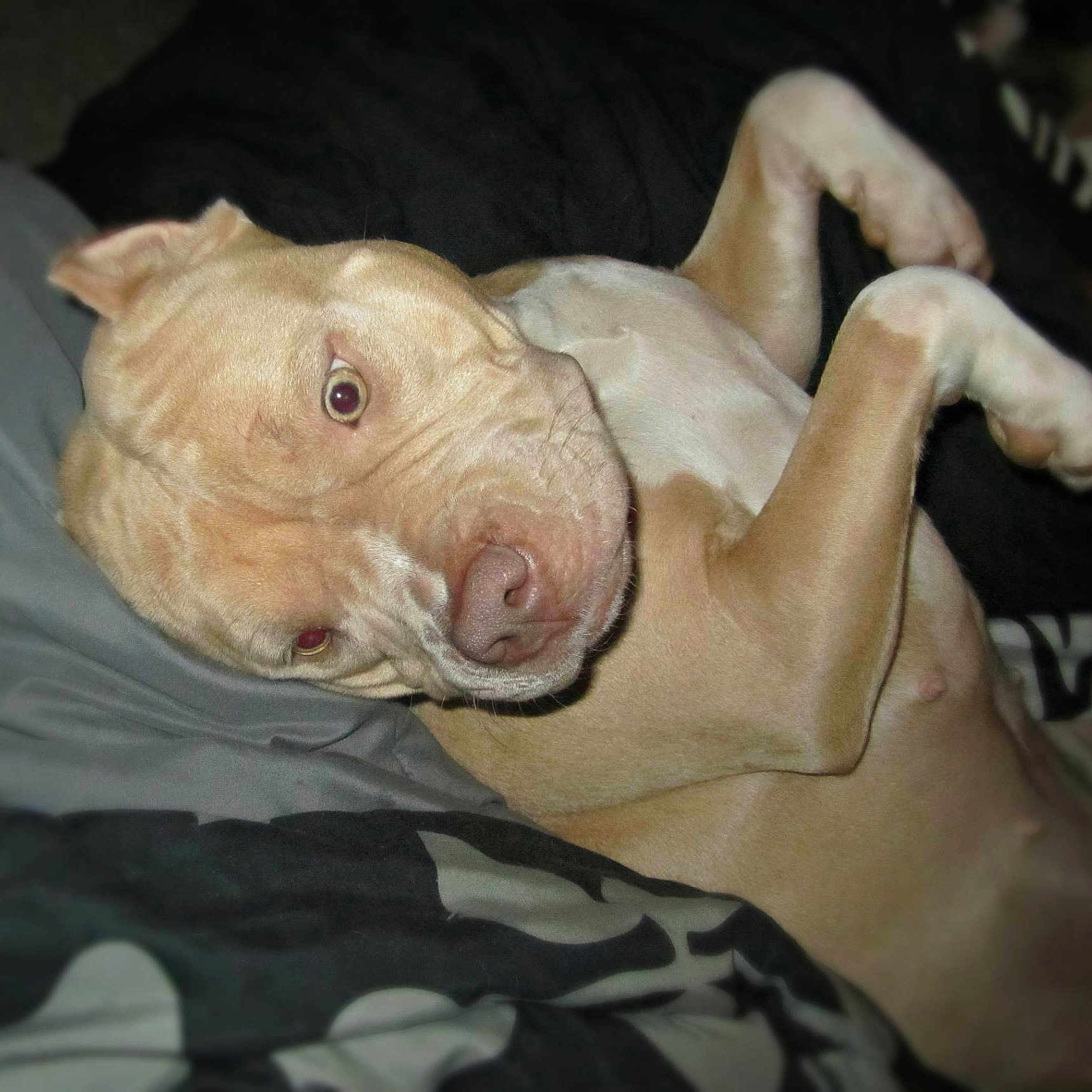 Nova is registered to the contest to win money with this photo: