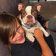 Hank joined the competition — help win amazing prizes! child, dog, boston_terrier, couch, smiling, indoors, relaxed, pet, friendship, casual_clothing, brown_hair, black_shirt, collar, legs, carpet, furniture, table, glass_bowl, snack_box, comfort
