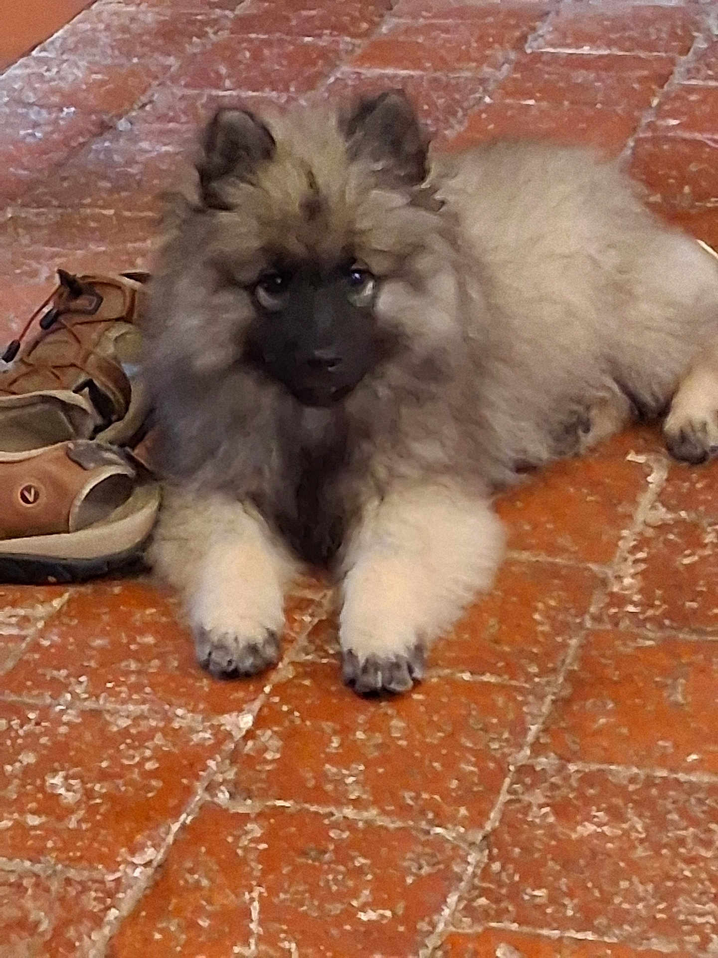 Alrik