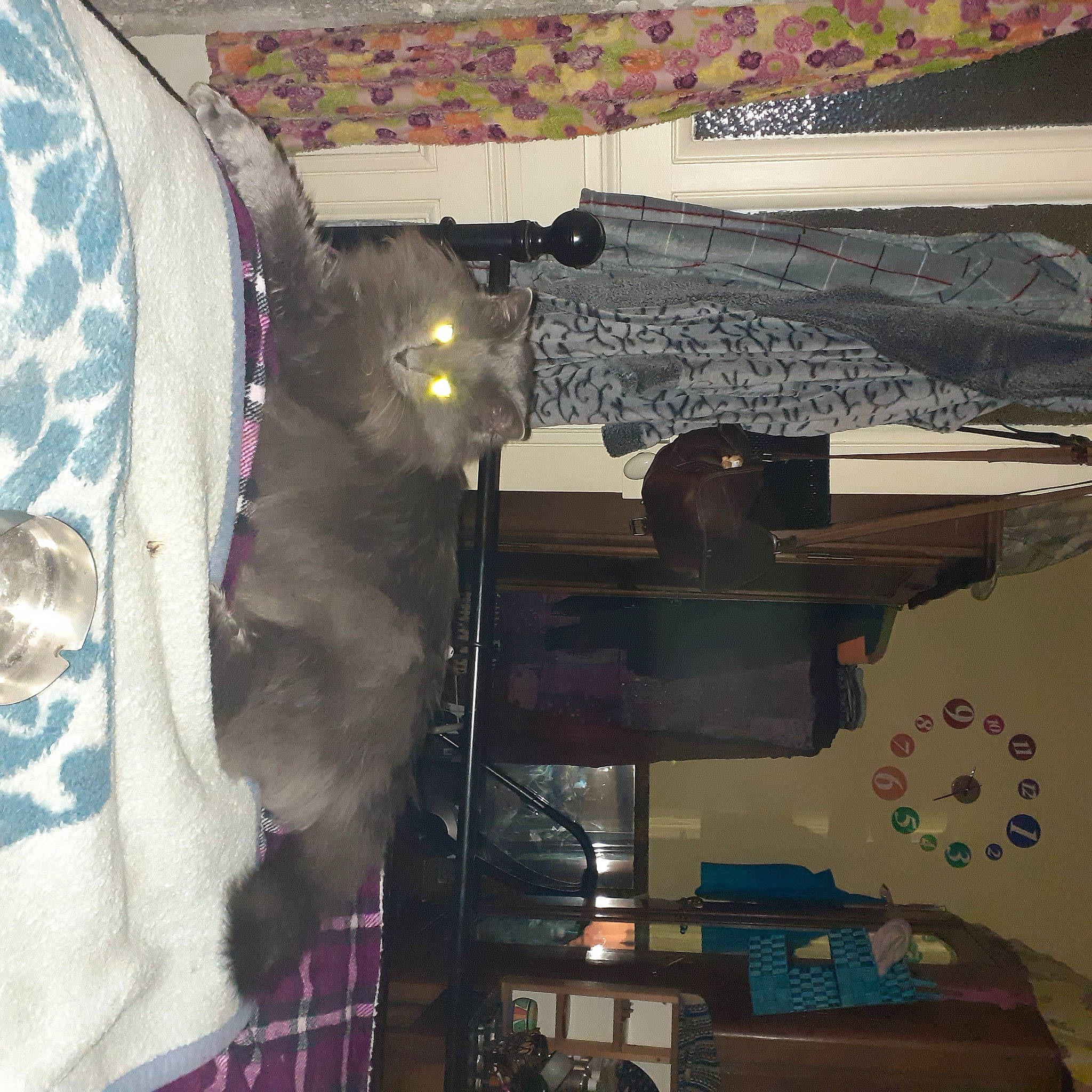 Foxy participe au concours pour gagner de l'argent avec cette photo : ceiling, event, fun, fur, linens, machine, magenta, pattern, plaid, room, tartan, textile, tints_and_shades, tree, visual_arts, wood