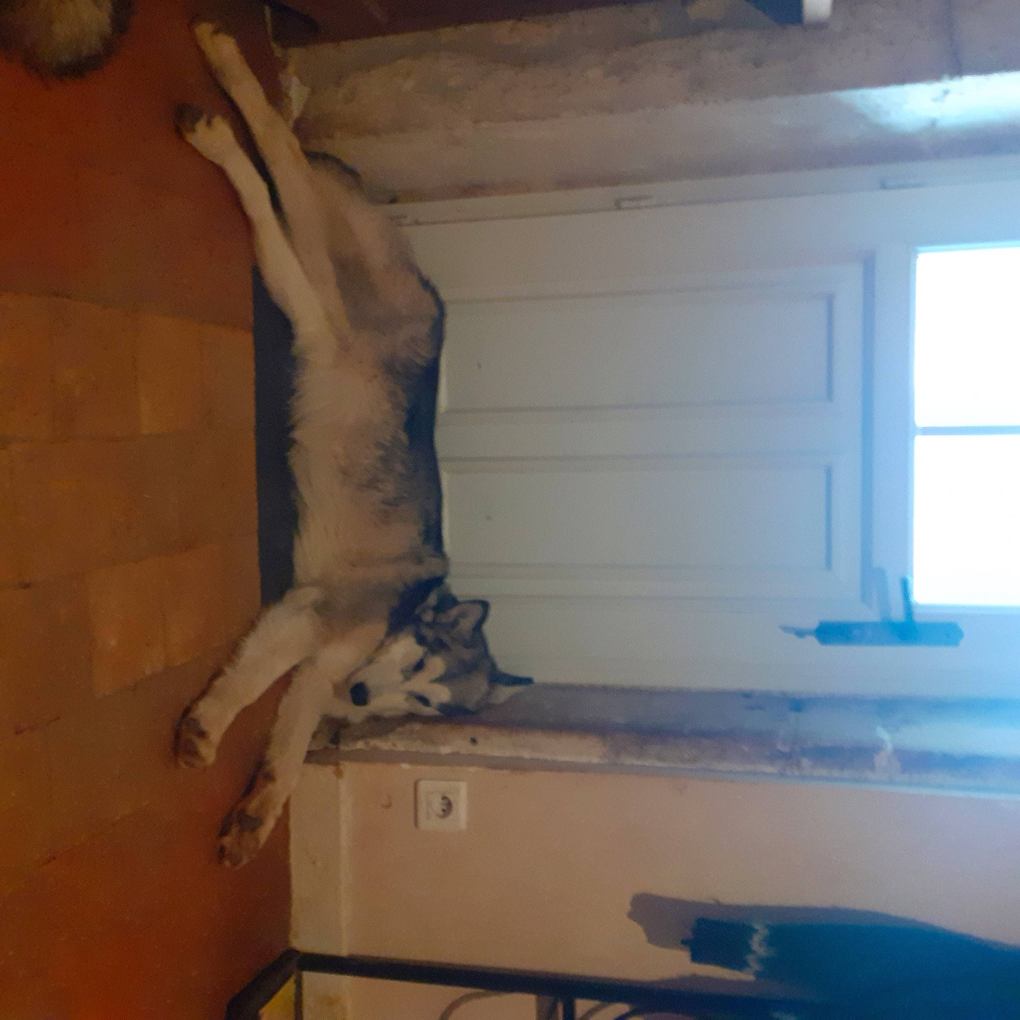 Taïga participe au concours pour gagner de l'argent avec cette photo : art, beam, building, ceiling, door, flooring, hardwood, house, keyboard, molding, musical_keyboard, piano, plaster, room, sash_window, sculpture, statue, tail, window, wood