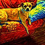 Jazzy is registered to the contest to win money with this photo: animal, art, brushstrokes, colorful, comfort, couch, dog, expressionism, furniture, home, illustration, indoor, living_room, painting, pet, pillow, red_couch, relaxing, wooden_floor, yellow_dog