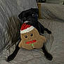 animal, black_dog, couch, cute, dog, expression, face, furniture, gingerbread_man, home, indoor, looking, pet, plush_toy, pug, quilted_cover, santa_hat, sitting, small_dog, toy