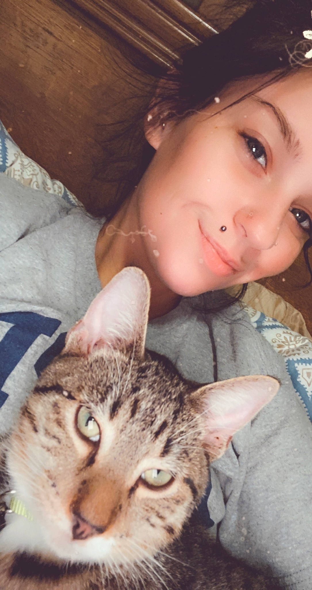 Cisco is registered to the contest to win money with this photo: carnivore, cat, domestic_short_haired_cat, dragon_li, ear, european_shorthair, eye, eyebrow, face, felidae, forehead, fur, head, nose, photography, selfie, skin, small_to_medium_sized_cats, tabby_cat, whiskers
