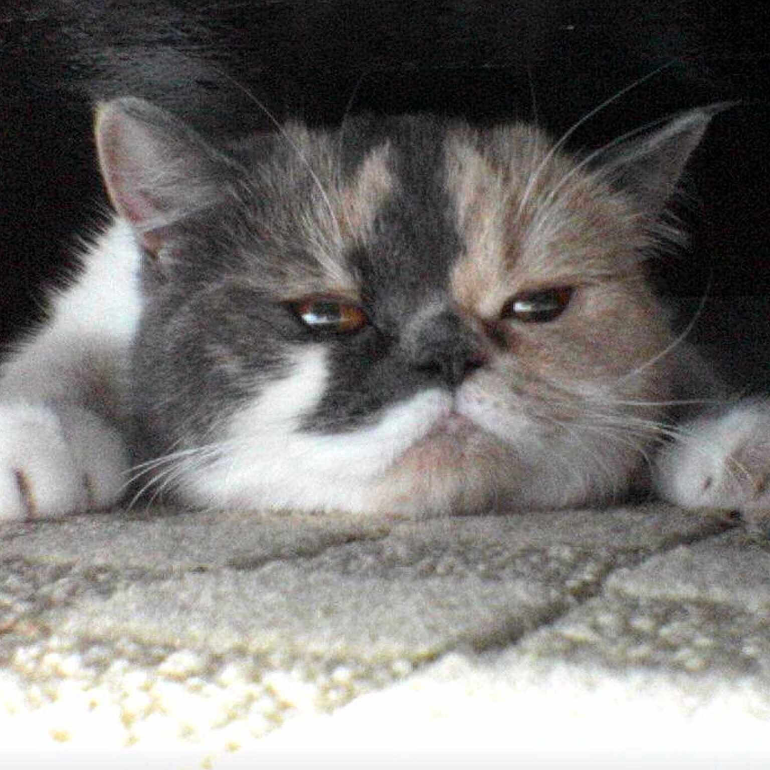 Fall joined the competition — help win amazing prizes!