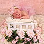 Ivey joined the competition — help win amazing prizes! newborn, baby, sleeping, pink, tutu, flower_headband, bed, roses, lace, soft, cute, infant, resting, portrait, closeup, decor, floral, peaceful, indoors, baby_girl