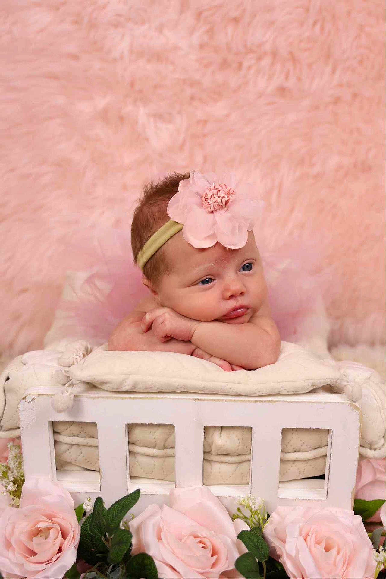 Ivey joined the competition — help win amazing prizes! baby, flower_headband, pink, pillow, wooden_crate, roses, flowers, greenery, soft_texture, portrait, infant, cute, resting, closeup, face, skin, hands, decor, background, peaceful