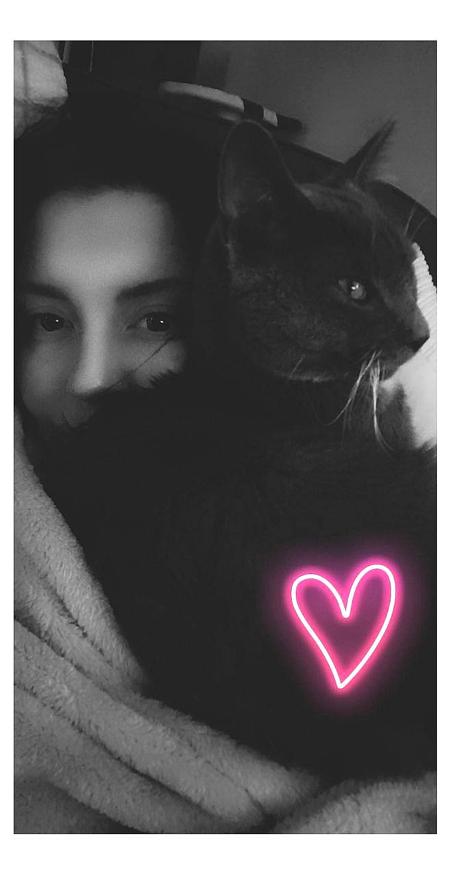 Bojack participe au concours pour gagner de l'argent avec cette photo : beard, black, carnivore, cat, darkness, facial_expression, facial_hair, felidae, flash_photography, font, fur, happy, magenta, monochrome_photography, moustache, organ, photograph, room, small_to_medium_sized_cats, whiskers