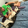 Yougo a rejoint le concours — aidez-le/la à gagner de superbes lots ! man, dog, husky, bed, blanket, indoor, floor, casual_clothing, green_shirt, shorts, white_shoes, relaxing, pet, playing, fur, paw, resting, leash, room, wooden_floor