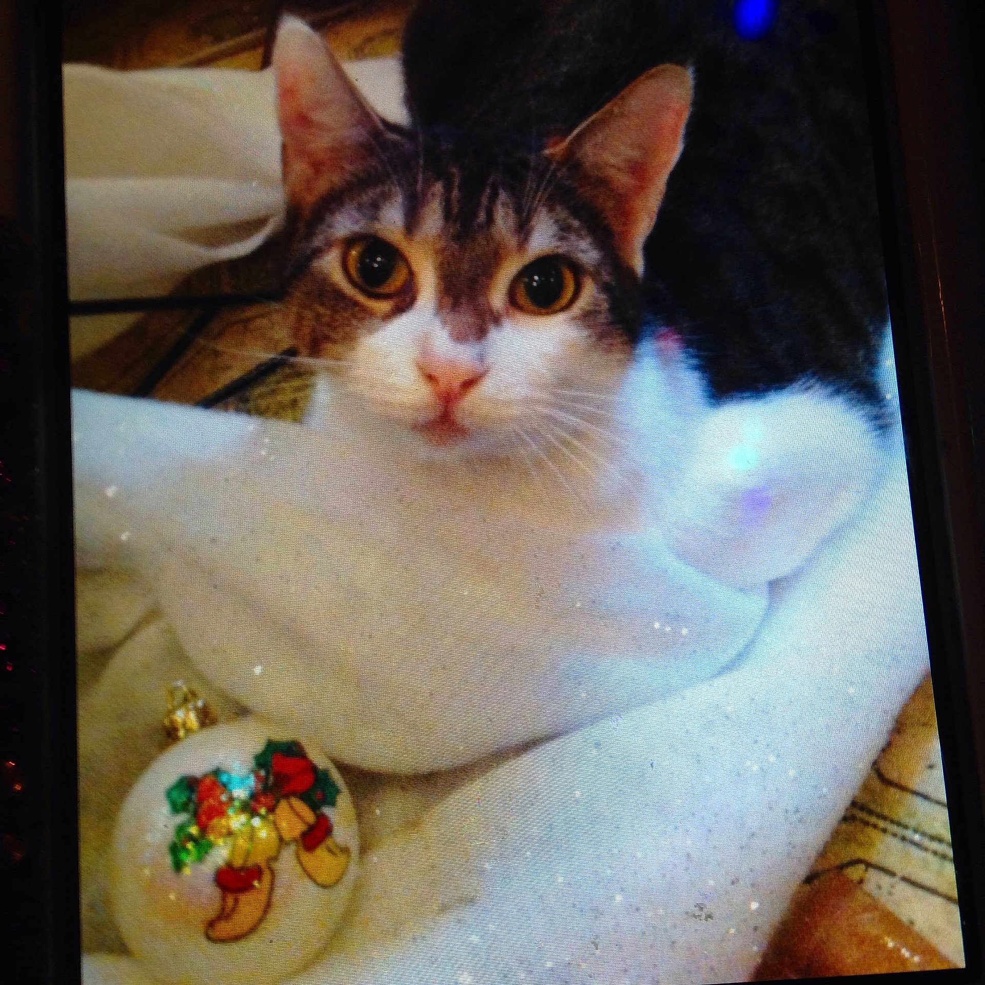 Girly Girly joined the competition — help win amazing prizes!