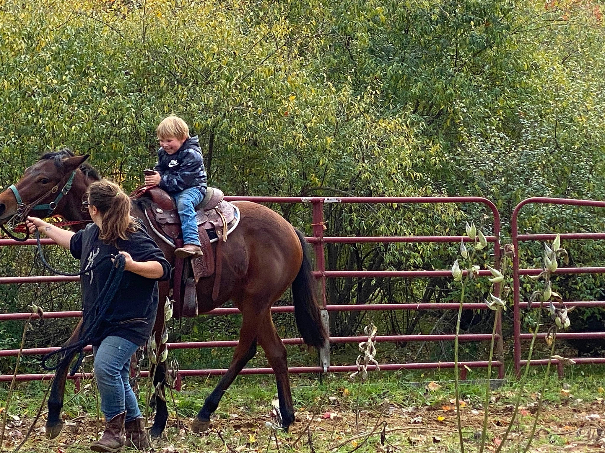 Raiden joined the competition — help win amazing prizes! bit, bridle, equestrian_helmet, equestrian_sport, equestrianism, fence, grass, grassland, halter, horse, horse_supplies, horse_tack, jockey, joy, mammal, mane, pack_animal, person, plant, rein