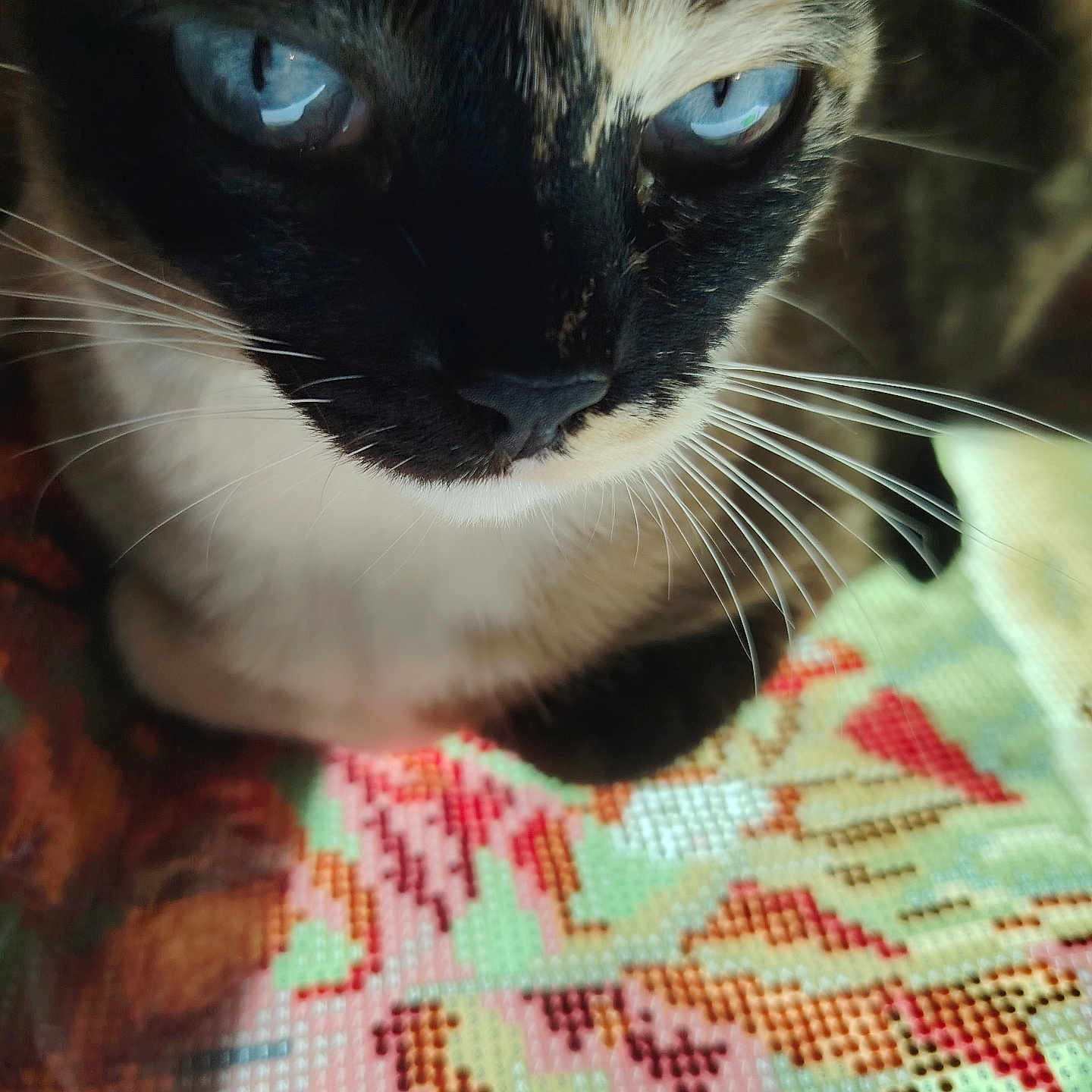 Nina
