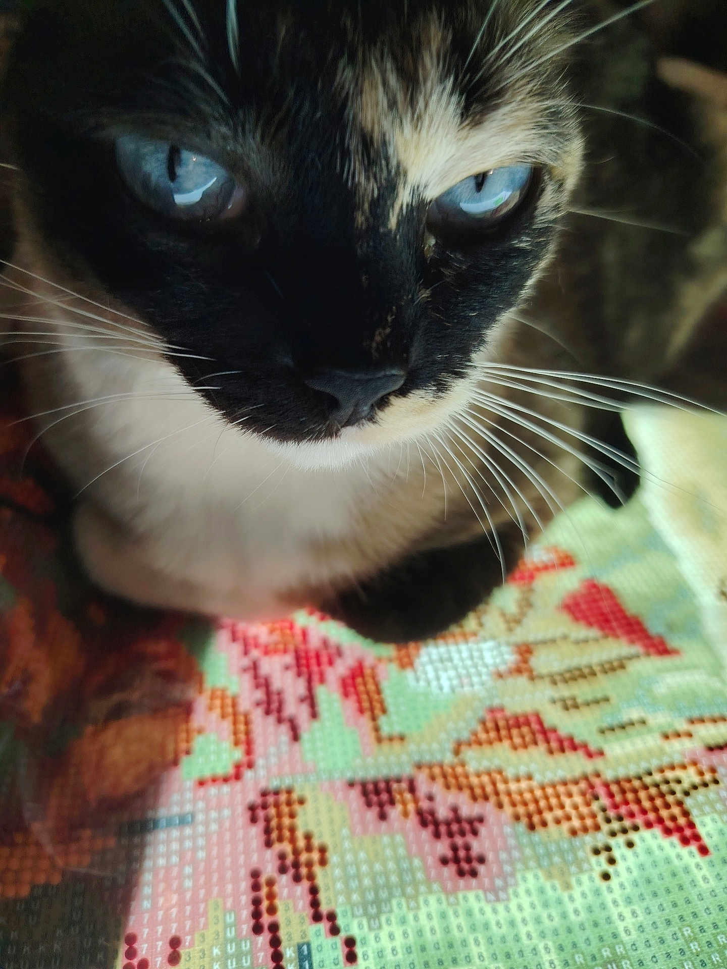 Nina